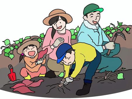 【環境・景観部会】さつま芋堀り体験のお知らせ